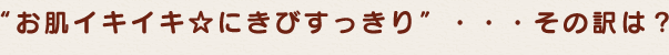 “お肌イキイキ☆にきびすっきり”・・・その訳は?