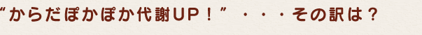“からだぽかぽか代謝UP！”・・・その訳は？