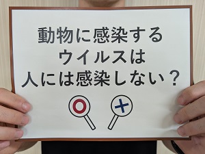 筑前高校の出展です。