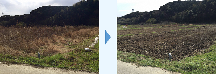 耕作放棄地の再生前後の写真