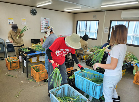 出荷作業の様子