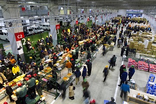 見学者用通路から見たせりの様子