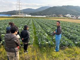 市内産キャベツの産地見学の画像
