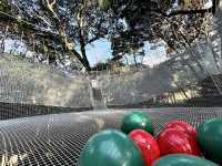 森林アスレチックの写真