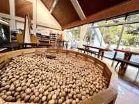 自然観察センターボールプールの写真