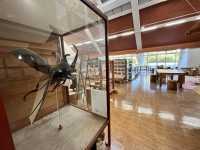 自然観察センター巨大カブトムシ模型の写真