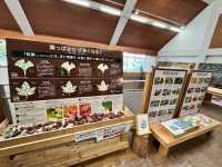 自然観察センター展示物の写真