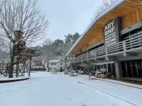 冬の雪景色の写真