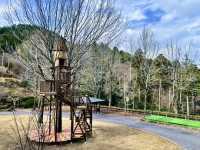 ツリーハウスの写真