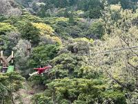 ジップラインのコースの写真