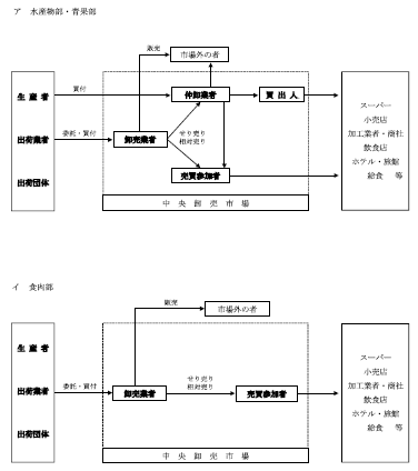 流通経路を水産物部・青果部と食肉部に分けて図式化した画像