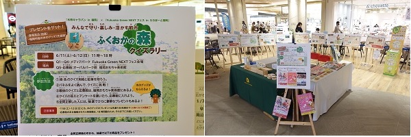 写真：クイズラリーの様子