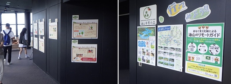 パネル展示の写真