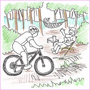 森林を活かした活動のイメージイラスト