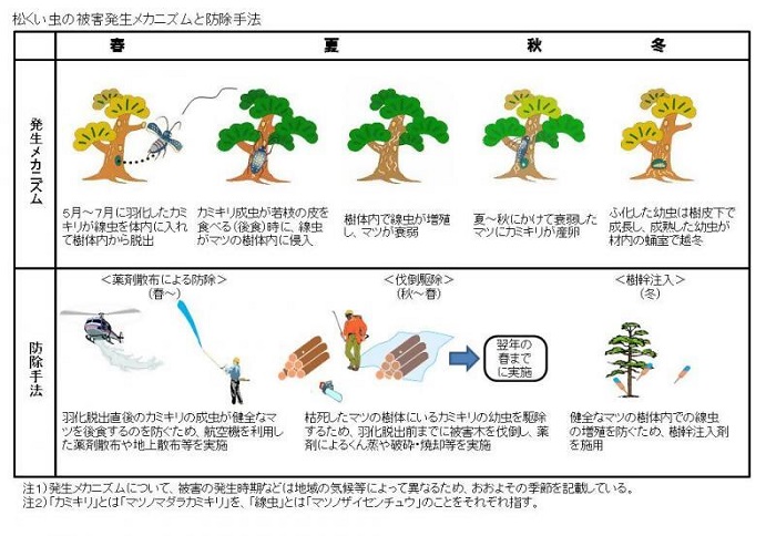 松くい虫の被害発生メカニズムと防除方法