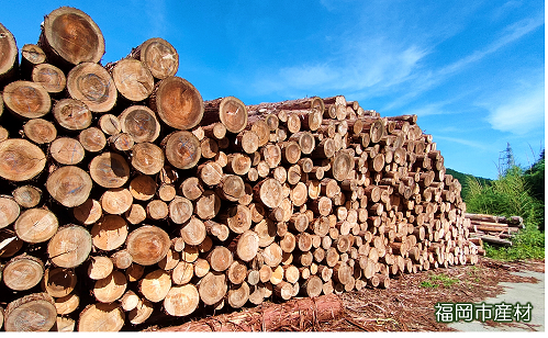 山積みになっている福岡市産材の写真
