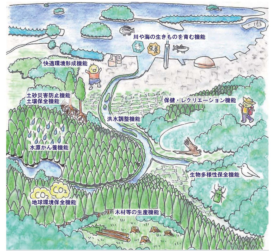 森林の多面的機能の図
