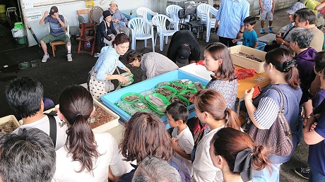 鮮魚販売の様子