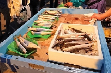 鮮魚販売の様子