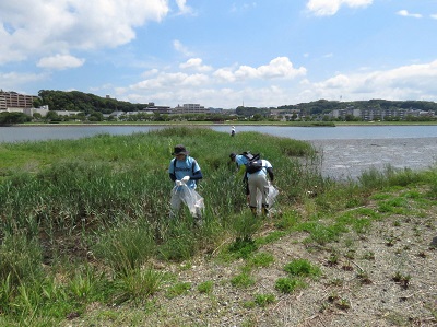 画像:清掃活動の様子