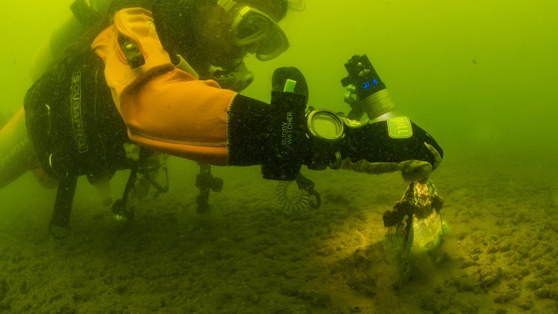 画像:水中調査の様子