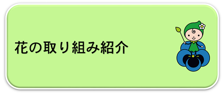花の取り組み紹介