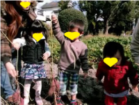 かるがも広場　いもほりの様子の画像