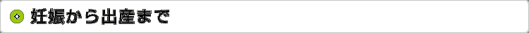 妊娠から出産まで&nbsp;