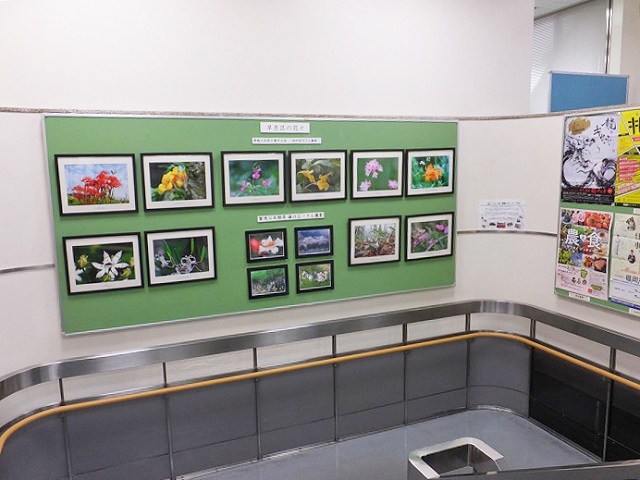 階段踊り場の展示コーナーの写真