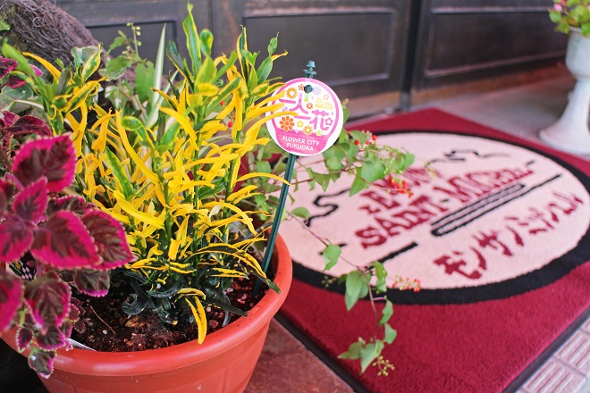 左側に黄色や赤紫の鮮やかな観葉植物が見える店舗入り口の写真