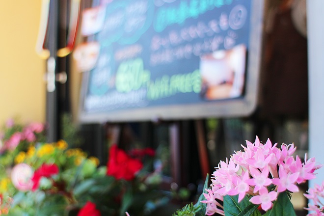 背景にぼかした看板やさまざまな花が見える，右下のピンクの花にピントを合わせた写真