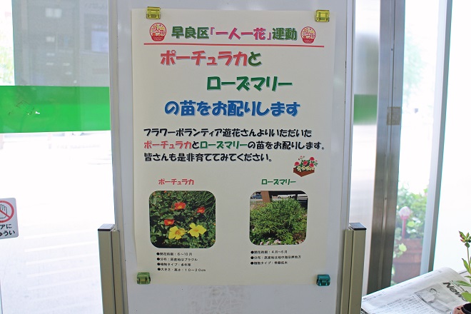 ポーチュラカとローズマリーの苗を配布していることを案内する看板の写真