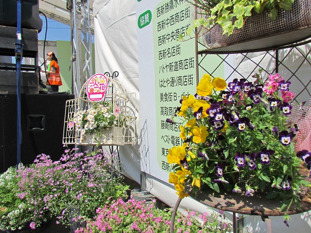 舞台横の花たちの写真