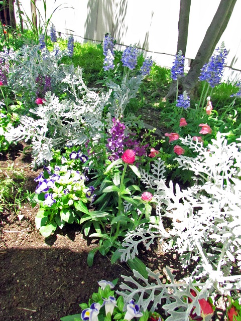 花壇に植え付けられた，青，ピンク，紫の花たちの写真