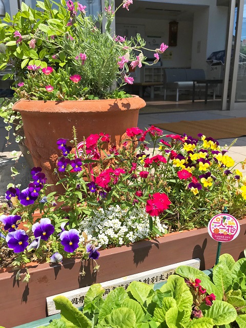 福岡高等聴覚特別支援学校の生徒が作った木製のプランターが真ん中に写っている写真