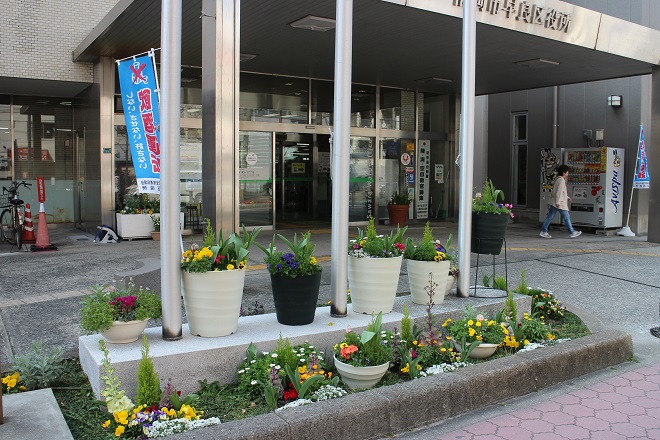 区役所正面玄関前の花たちの写真