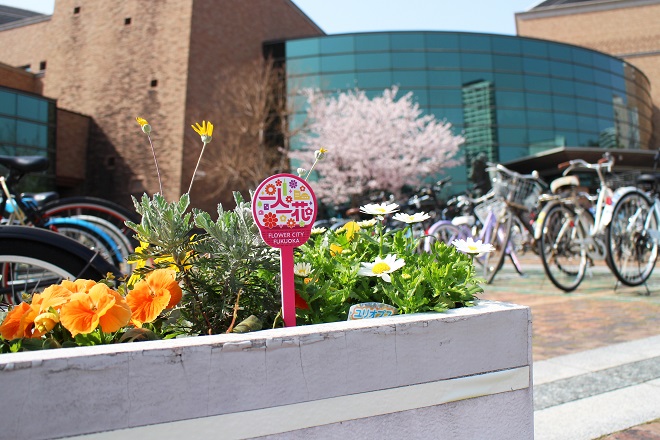 背景に図書館の正面玄関が見えるプランターの写真