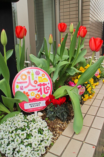 一人一花のロゴの横で赤いチューリップが花開いている写真