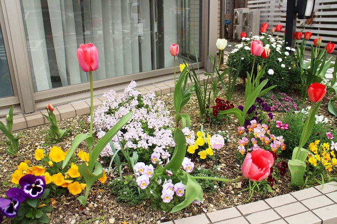 様々な花が並ぶ店舗前の写真