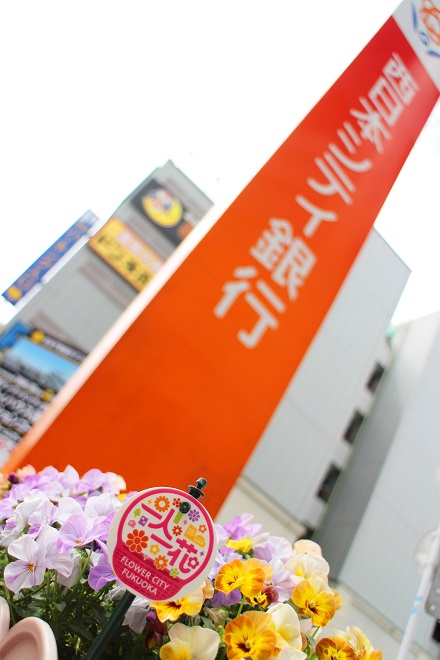 背景に看板が写る花の写真