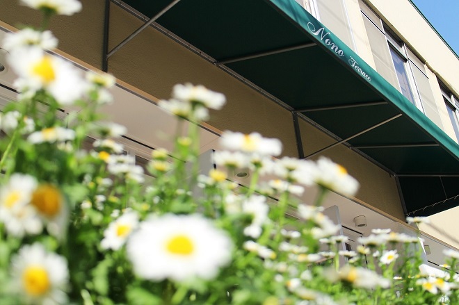 手前で白い花がぼけて写っている店名が見える写真