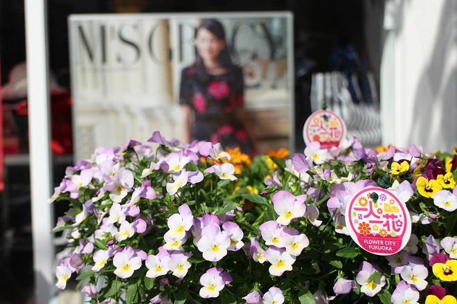 背景にファッション雑誌が写っている白と紫の花の写真