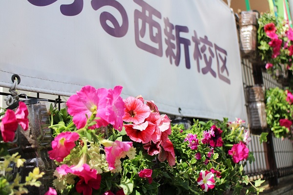 ピンクの花が植えられたペットボトルハンギングの写真