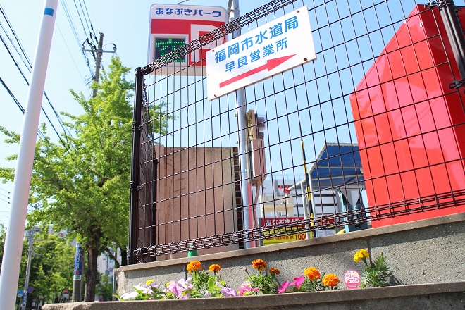 背景にあなぶきパークの案内が見える花壇の写真