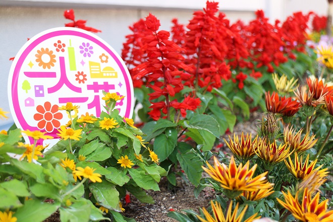 一人一花ロゴのうちわの横に赤い花がずらりと並んでいる写真