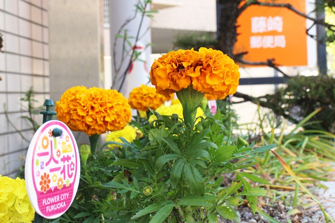 左に一人一花ロゴ，真ん中にオレンジの花，右奥に郵便局の看板が見える写真