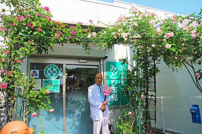 みどり薬局入り口のバラのアーチの写真