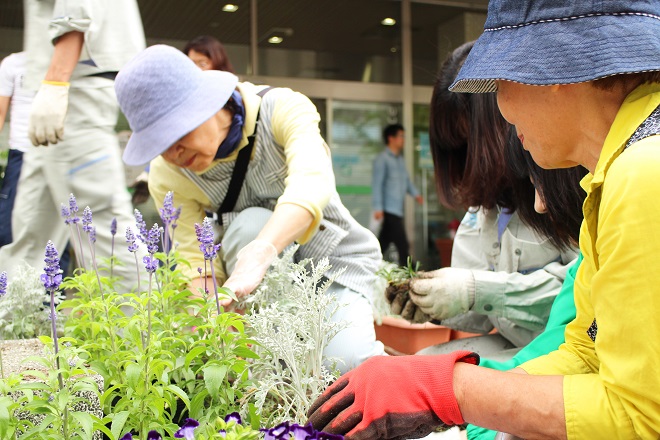 区役所正面玄関前の花壇に植え付けをしている写真