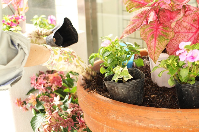 区役所周りに置くプランターの植え替えをしている写真