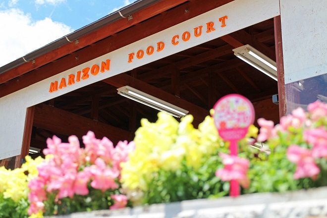 背景にマリゾンのフードコートが見えるプランターの写真